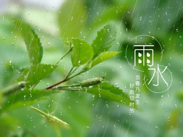 一节气一文物之雨水